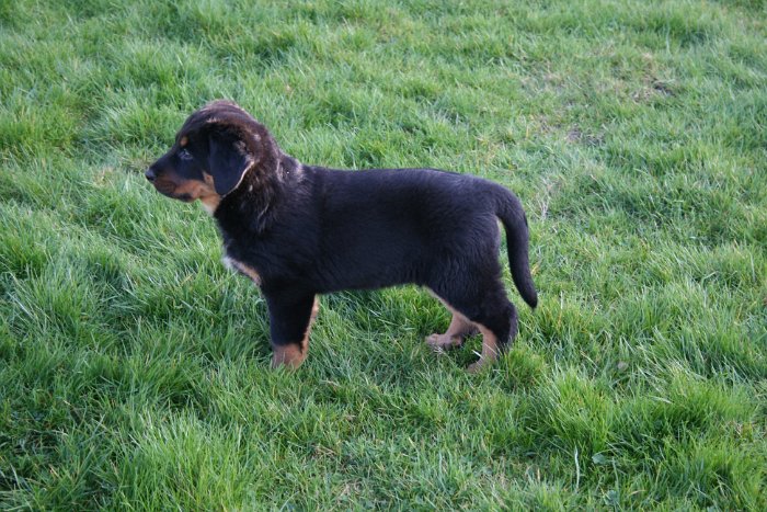 Quanza 16 03 2017 (2)